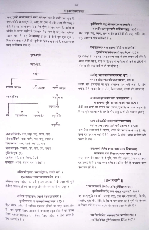 Sanskrit pratispardha Prakash C.SB.G 678